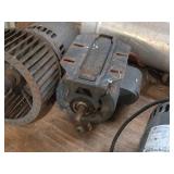 Lot of (1 shelf) Electric Motors
