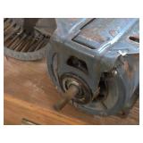 Lot of (1 shelf) Electric Motors