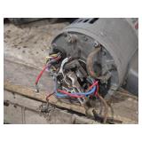 Lot of (1 shelf) Electric Motors