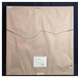 Lenore Beran Signed Collector Print "Flutist Dream" 144/1000 Framed 29.5x29"