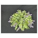 Home and Office Decor, Books, and Kansas Magazines Collection