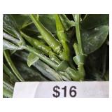 Home and Office Decor, Books, and Kansas Magazines Collection