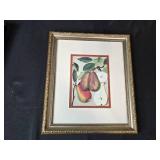 Collection of 5 Framed Botanical and Nature Prints - Inc Pottery Barn & Retrospect