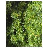 Collection of Holiday String Lights and Artificial Evergreen Garland