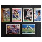 Collection of Baseball Trading Cards in Storage Box