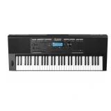 NEW Alesis Harmony 61 Pro Portable Keyboard