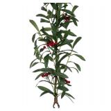 NEW Vickerman 72" Red Berry and Mistletoe Garland