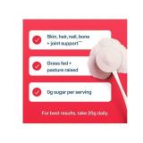 NEW Vital Proteins Collagen Peptides Powder, Limited Edition Ice Pop, 26.3 oz.