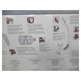 NEW Oceanic Adult Snorkeling Set - L/XL - White/Gray/Orange