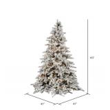 Vickerman A895146 4.5