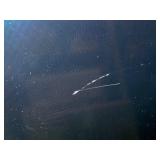 90" Sharp AQUOS PN-LE901 Full HD Commercial LED TV / Television / Monitor / Display with minor scratch