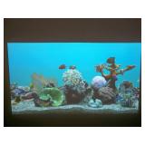 Hitachi CP-WU5505 WUXGA 5000-Lumen HD Home Theater LCD Projector / Projection System