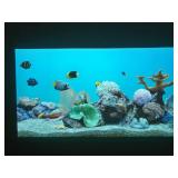 NEC NP-PA571W 5700 Lumen WXGA Professional Installation LCD Projector with HDMI Cable and Remote Control