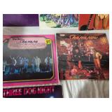 Lot of Vinyl Records Featuring Little Richard, Ted Nugent, and More