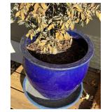 FY - Bright Blue Planter Pot with Saucer