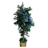 LR - 8-Foot Artificial Ficus Tree in Brass Tone Planter