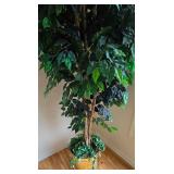 LR - 8-Foot Artificial Ficus Tree in Brass Tone Planter