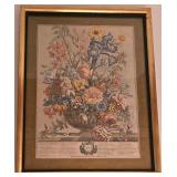 DR - Framed Botanical Art Print of June Flowers