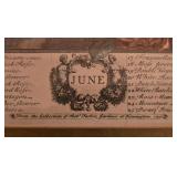 DR - Framed Botanical Art Print of June Flowers