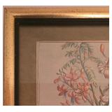 DR - Framed Botanical Art Print of June Flowers