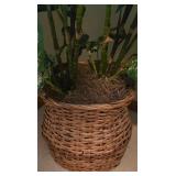 LL-BR3 - Large Artificial Dieffenbachia Plant in Wicker Basket, 52 Inches Tall