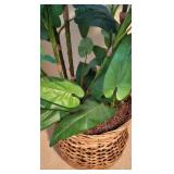 LL-BR3 - 52-Inch Tall Artificial Plant with Woven Basket