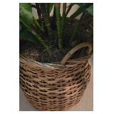 LL-BR3 - 52-Inch Tall Artificial Plant with Woven Basket