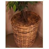 LL-ST - 7 Foot Tall Artificial Tree in 15 Inch Wicker Basket