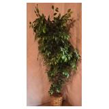 LL-ST - 7 Foot Tall Artificial Tree in 15 Inch Wicker Basket