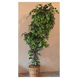 LL-ST - 7 Foot Tall Artificial Tree in 15 Inch Basket