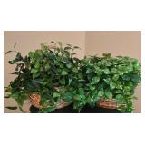 LL-FR - Pair of Decorative Artificial Plants in Wicker Baskets