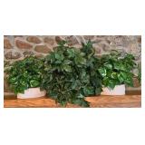 LL-FR - Set of 3 Decorative Artificial Plants with Ceramic and Terracotta Planters