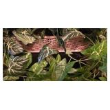 Artificial Ivy Plant in Wicker Basket with Decorative Tall Woven Planter