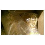 10 each Ten Pack Necklaces New Fashion Jewelry Lot