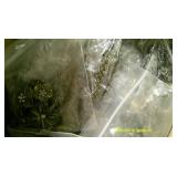 42 Necklaces New Fashion Jewelry Lot