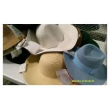 Hat Lot #1 35 hats with tote. NWT.