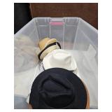 Hat Lot #6 51 Hats with Tote