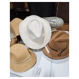 Hat Lot #6 51 Hats with Tote