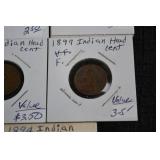 Indian Head Cents - Assorted Dates Collection