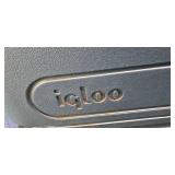 Igloo Cooler (USED)