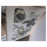 (G-1) Assortment of Vintage Calande...