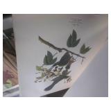 (G-1) Assortment of Vintage Calande...