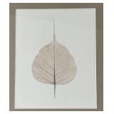 FR - Pair of Framed Leaf Motif Prints