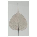 FR - Pair of Framed Leaf Motif Prints