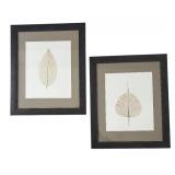 FR - Pair of Framed Leaf Motif Prints