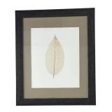 FR - Pair of Framed Leaf Motif Prints