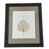 FR - Pair of Framed Leaf Motif Prints