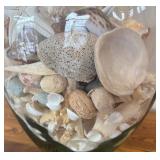 DR - Fabio Viviani Toscana Glass Vase Filled with Assorted Seashells, Starfish and More