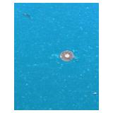 Pool Table - Green Felt, Wood Frame w/ Cues & Balls and Includes a Ping-Pong Table Top with Net and Accessories