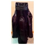 PING Burl Oaks Golf Bag & Irons